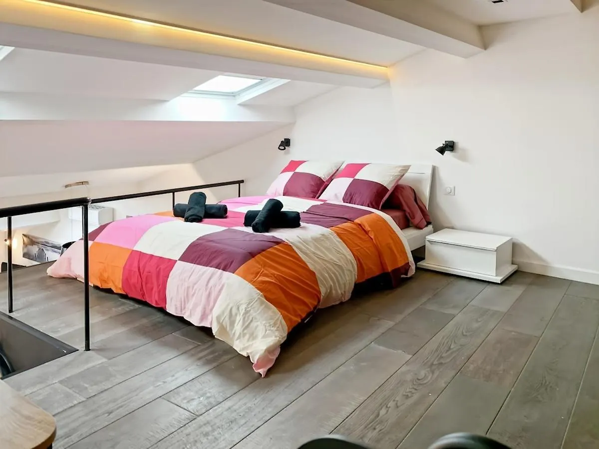 Modern Apartment In The Historic Center Of Frejus France